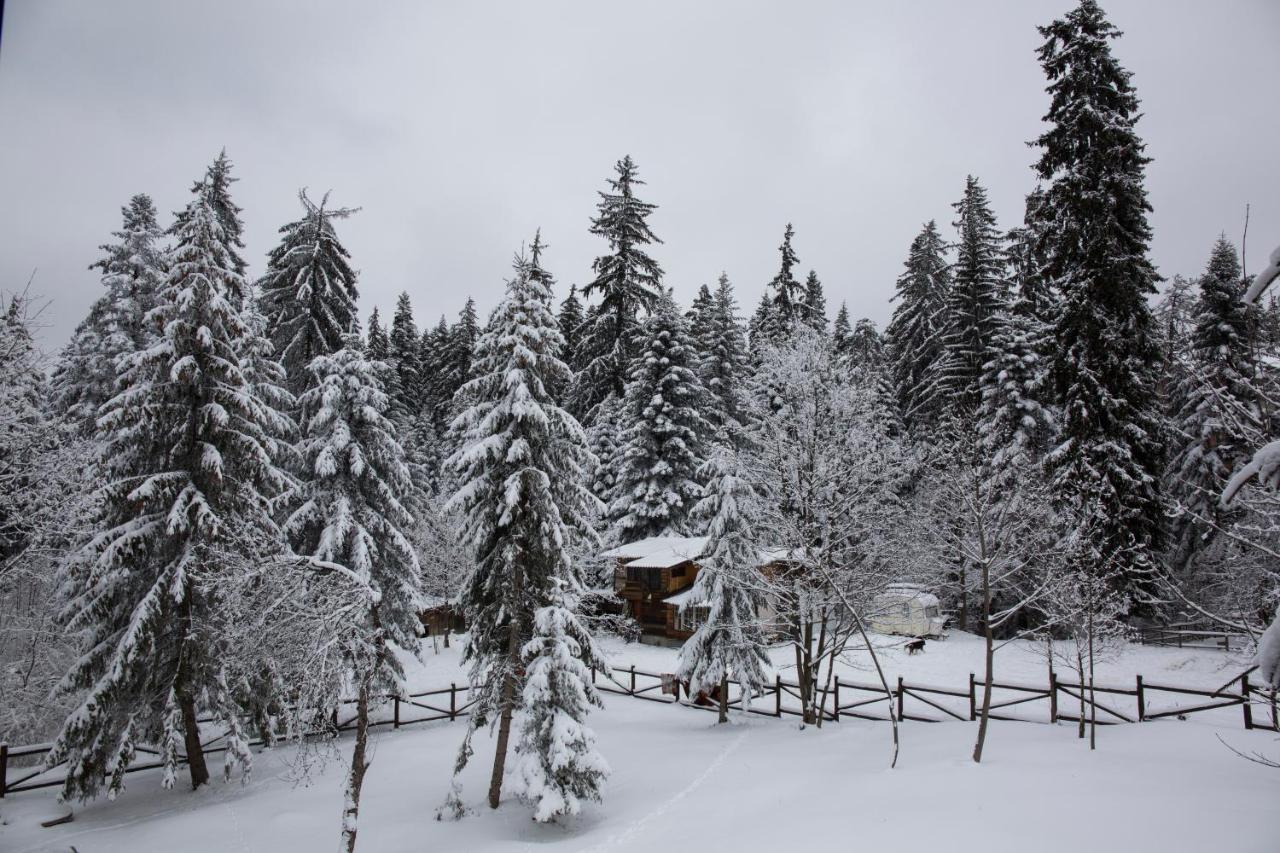 Victoria Hotel Borovets - Free Parking 外观 照片